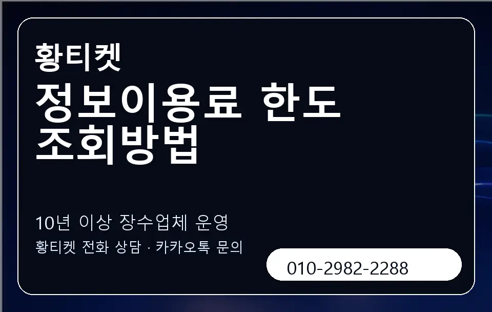 정보이용료 한도 조회방법 황티켓 캐러셀 5