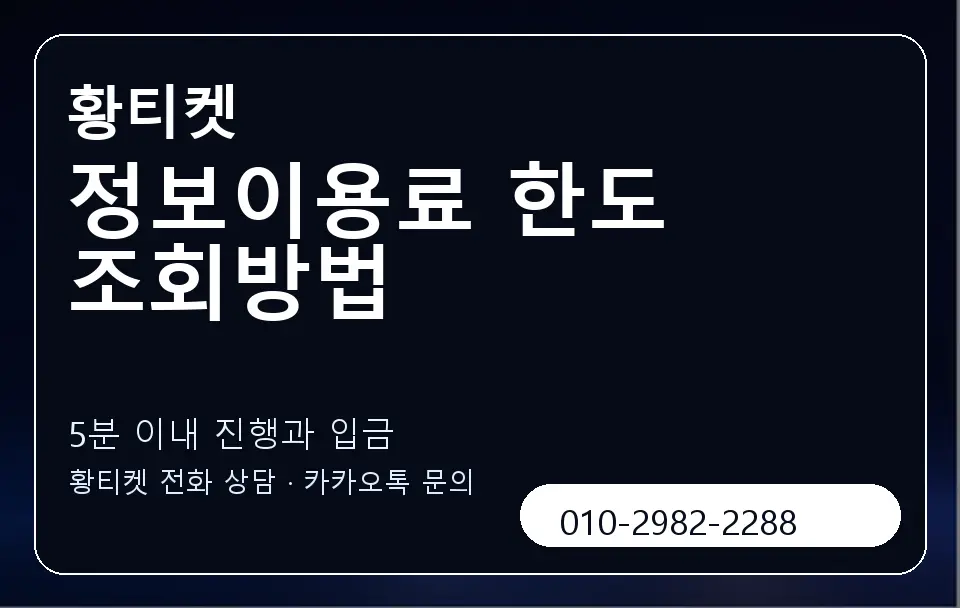 정보이용료 한도 조회방법 황티켓 캐러셀 6