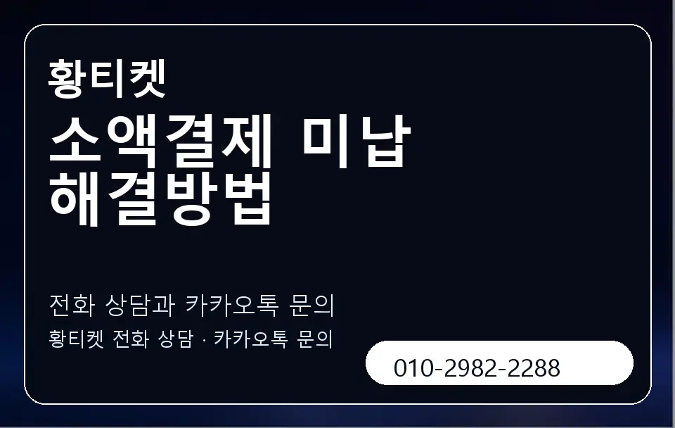 소액결제 미납 해결방법 황티켓 캐러셀 1