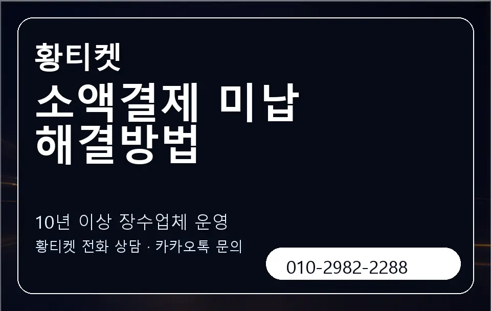 소액결제 미납 해결방법 황티켓 캐러셀 5