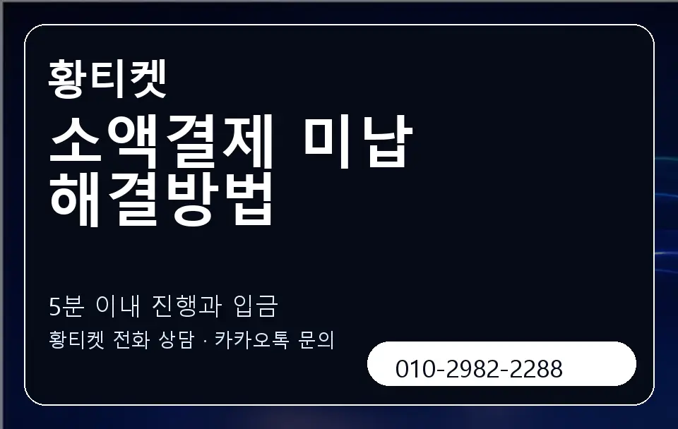 소액결제 미납 해결방법 황티켓 캐러셀 6