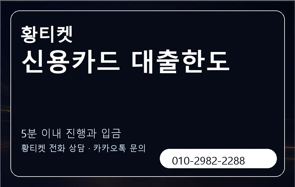 신용카드 대출한도 황티켓 캐러셀 6