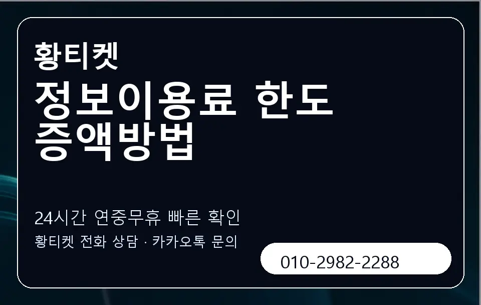 정보이용료 한도 증액방법 황티켓 캐러셀 2