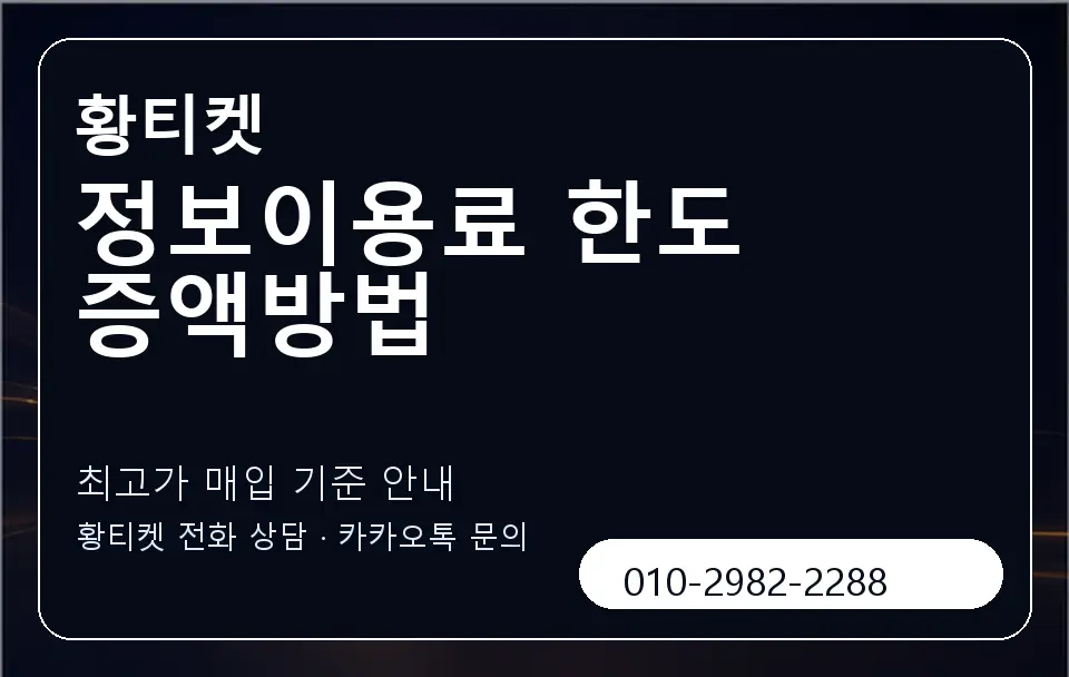 정보이용료 한도 증액방법 황티켓 캐러셀 3