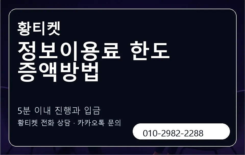 정보이용료 한도 증액방법 황티켓 캐러셀 6