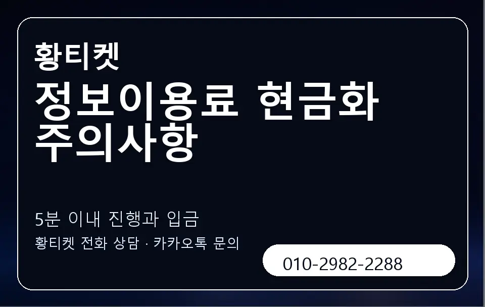 정보이용료 현금화 주의사항 황티켓 캐러셀 6
