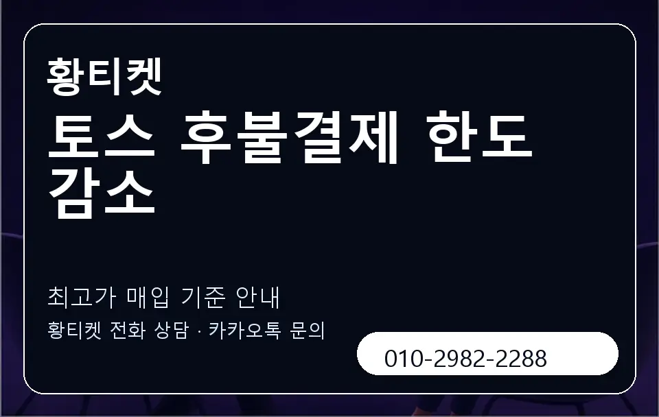 토스 후불결제 한도 감소 황티켓 캐러셀 3