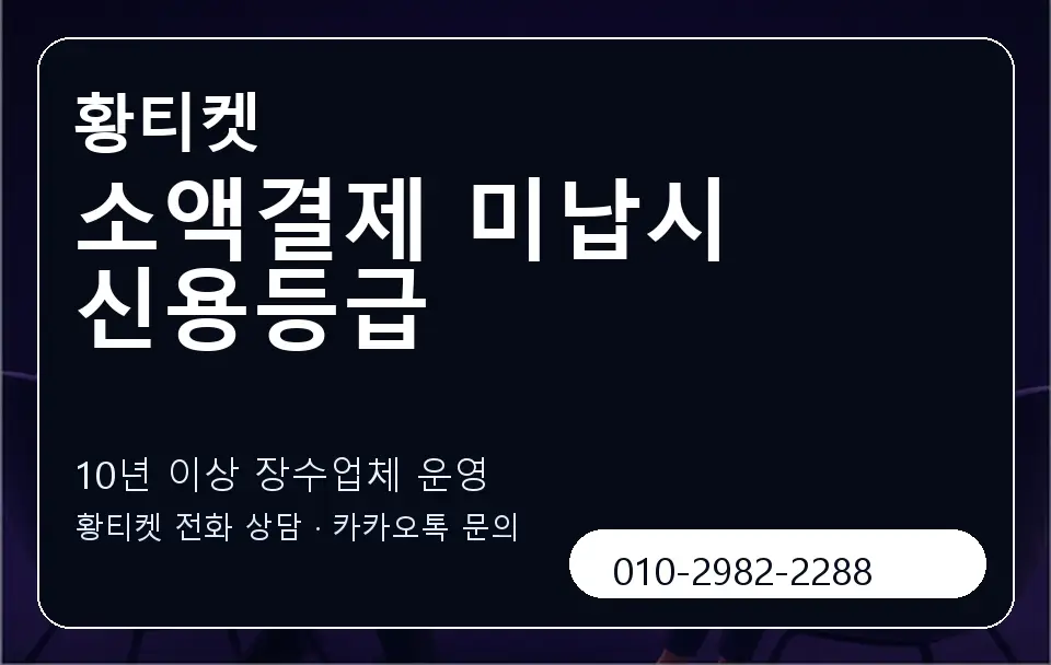 소액결제 미납시 신용등급 황티켓 캐러셀 5