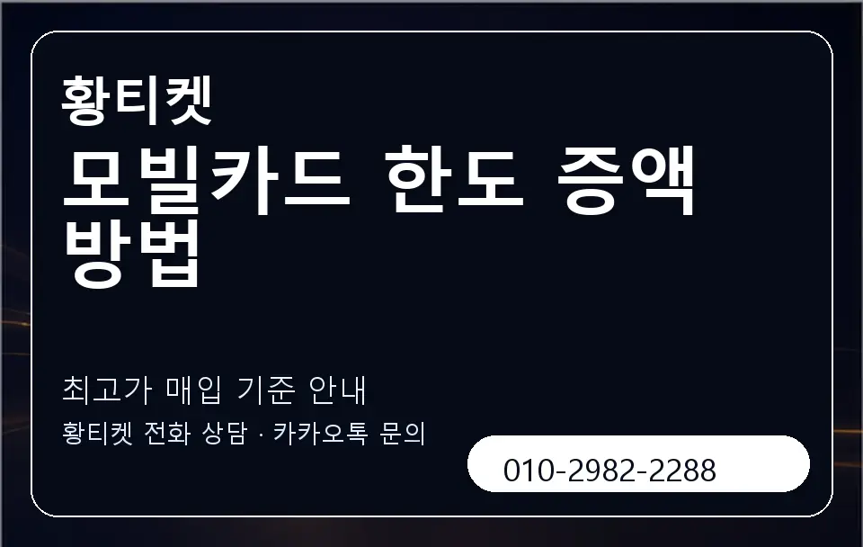 모빌카드 한도 증액 방법 황티켓 캐러셀 3