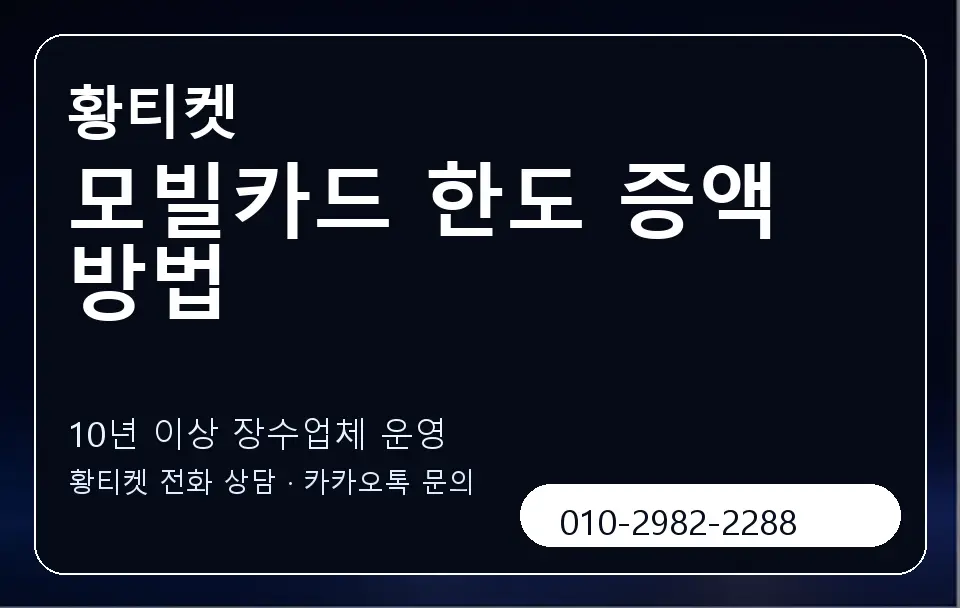 모빌카드 한도 증액 방법 황티켓 캐러셀 5