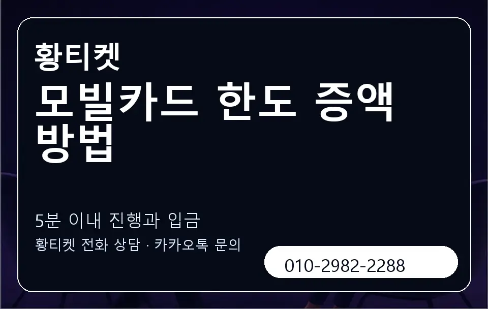 모빌카드 한도 증액 방법 황티켓 캐러셀 6