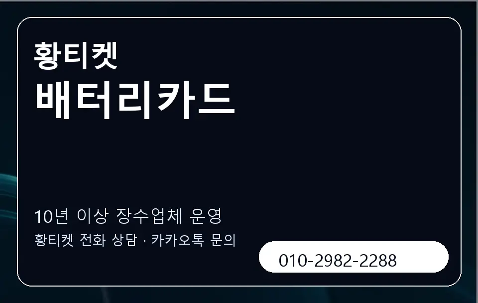 배터리카드 황티켓 캐러셀 5