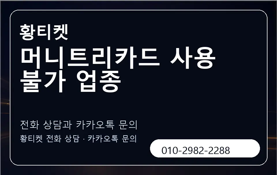 머니트리카드 사용 불가 업종 황티켓 캐러셀 1