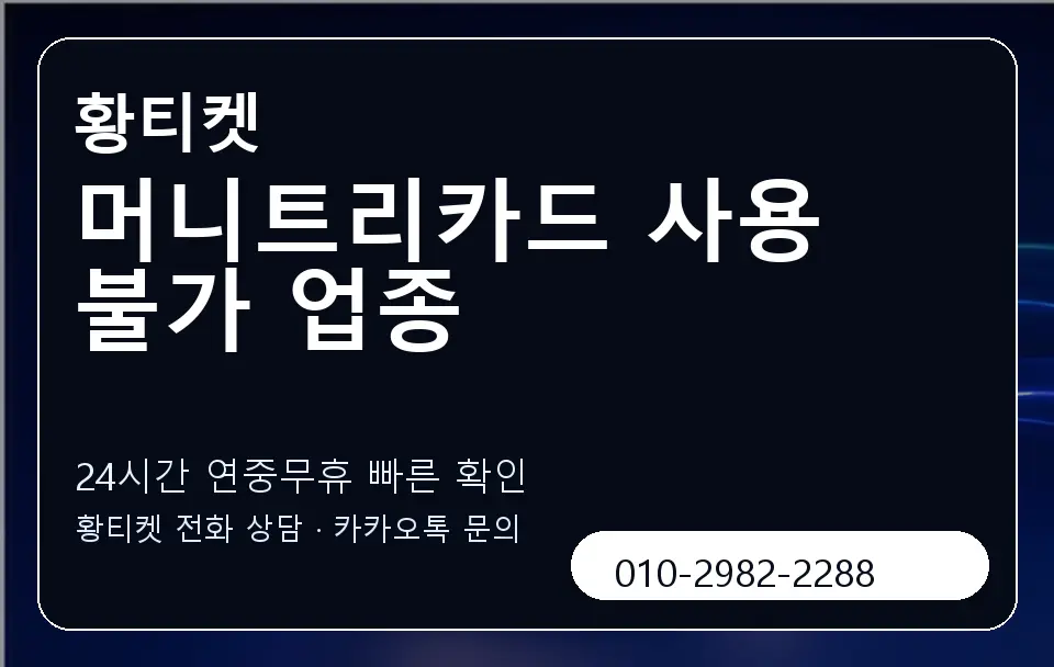 머니트리카드 사용 불가 업종 황티켓 캐러셀 2