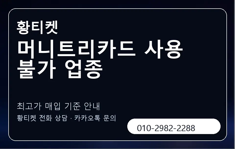 머니트리카드 사용 불가 업종 황티켓 캐러셀 3