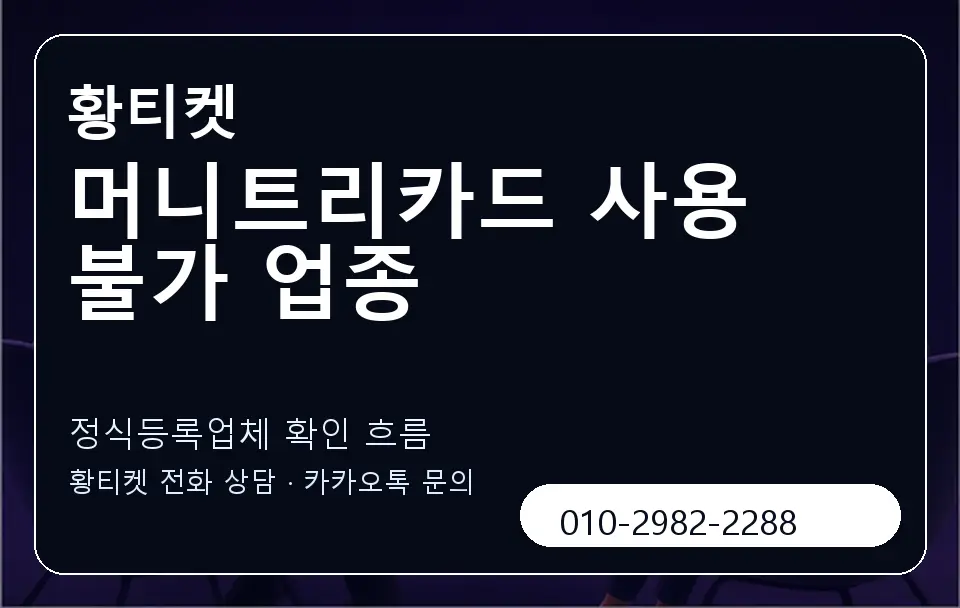 머니트리카드 사용 불가 업종 황티켓 캐러셀 4
