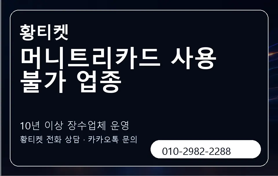 머니트리카드 사용 불가 업종 황티켓 캐러셀 5
