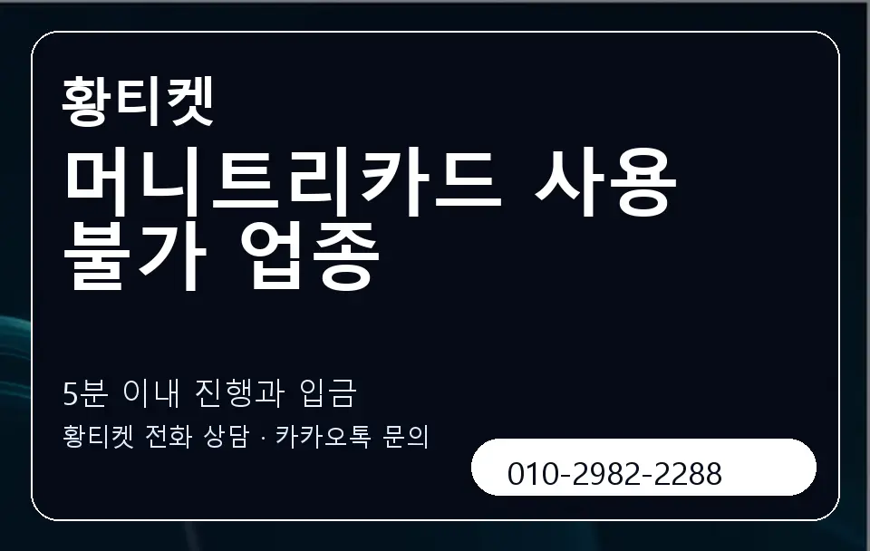 머니트리카드 사용 불가 업종 황티켓 캐러셀 6