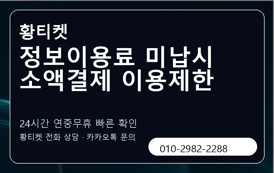 정보이용료 미납시 소액결제 이용제한 황티켓 캐러셀 2