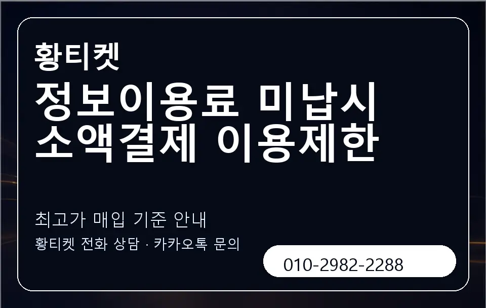 정보이용료 미납시 소액결제 이용제한 황티켓 캐러셀 3