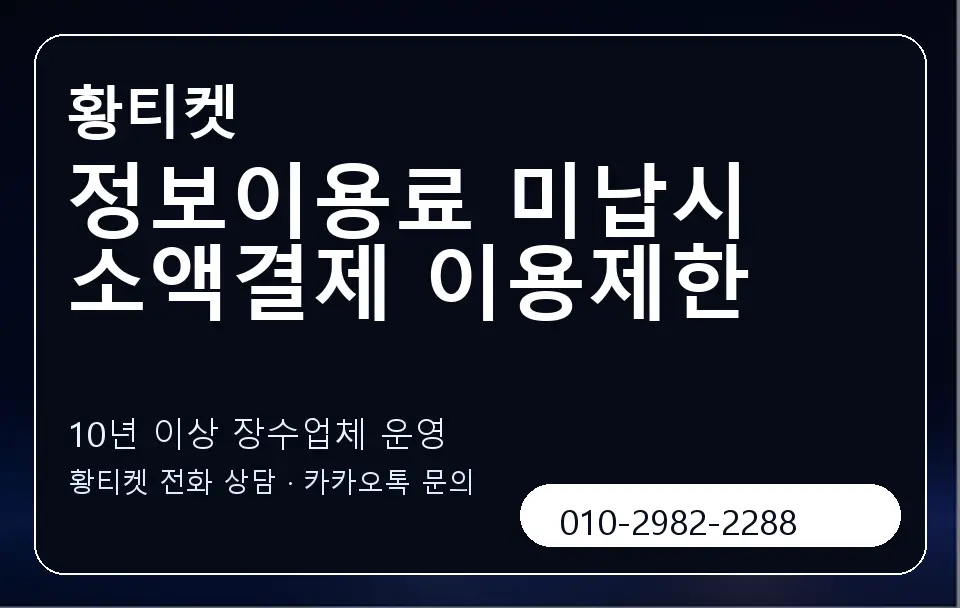 정보이용료 미납시 소액결제 이용제한 황티켓 캐러셀 5