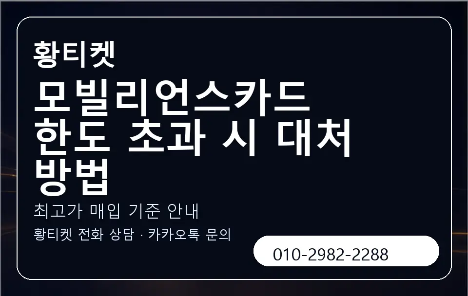 모빌리언스카드 한도 초과 시 대처 방법 황티켓 캐러셀 3