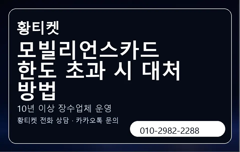 모빌리언스카드 한도 초과 시 대처 방법 황티켓 캐러셀 5