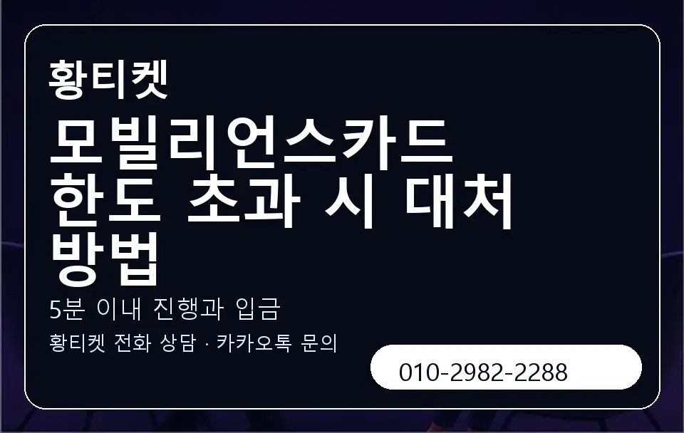 모빌리언스카드 한도 초과 시 대처 방법 황티켓 캐러셀 6