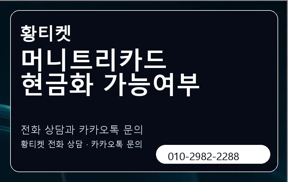 머니트리카드 현금화 가능여부 황티켓 캐러셀 1
