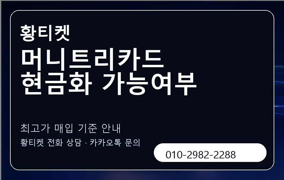 머니트리카드 현금화 가능여부 황티켓 캐러셀 3