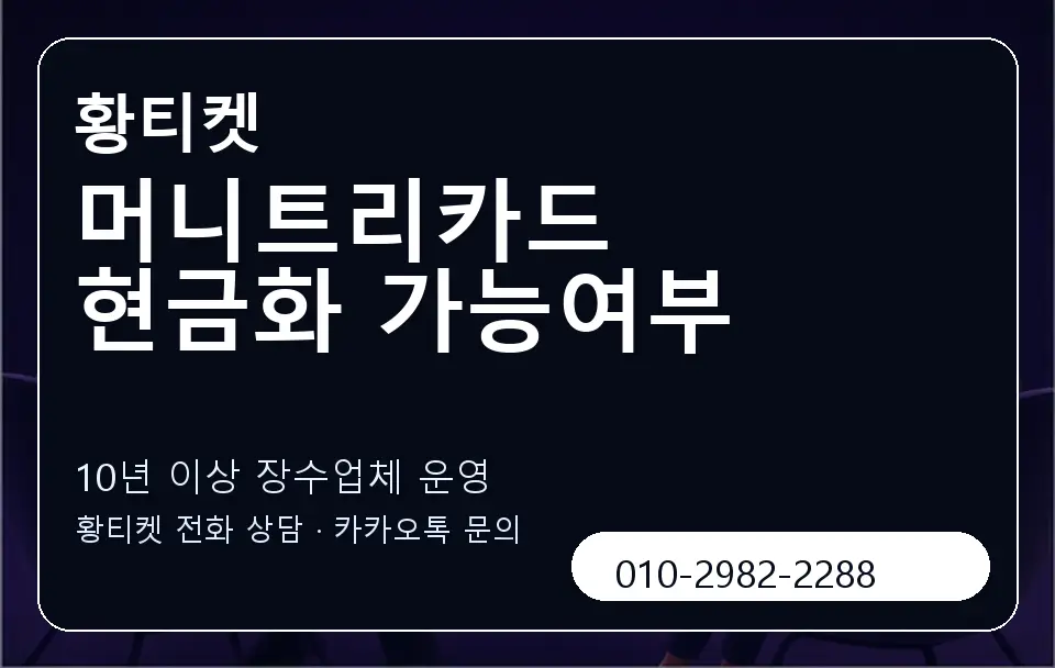 머니트리카드 현금화 가능여부 황티켓 캐러셀 5