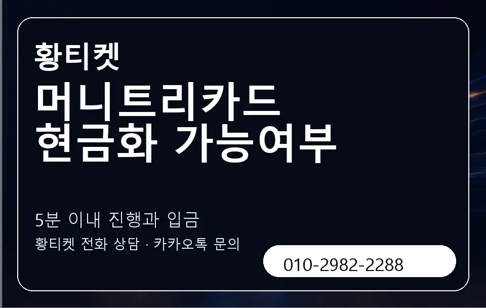 머니트리카드 현금화 가능여부 황티켓 캐러셀 6