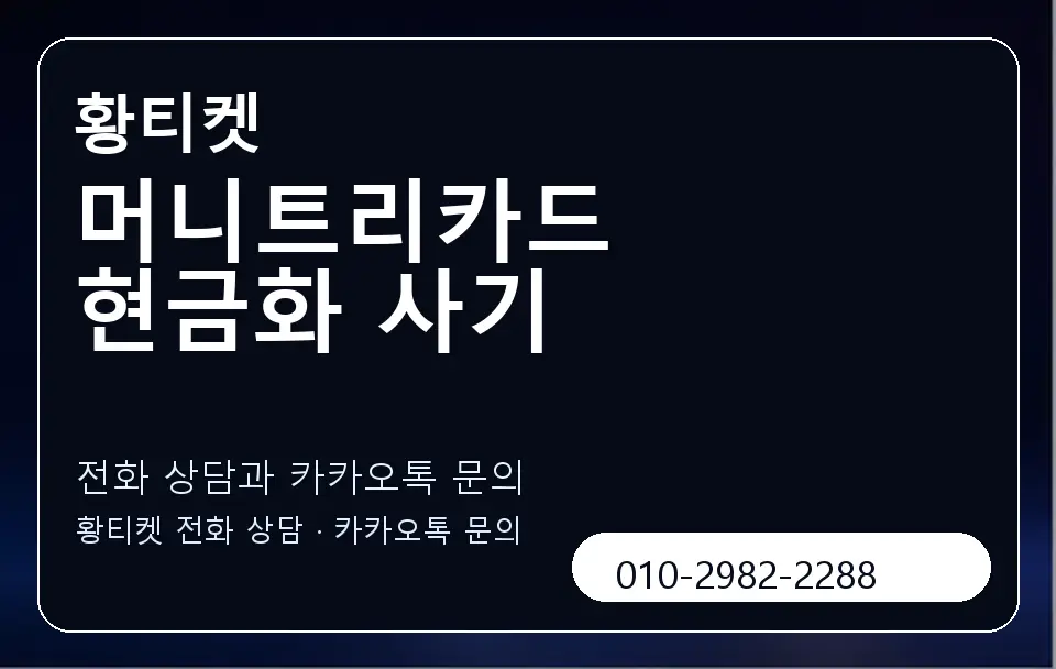 머니트리카드 현금화 사기 황티켓 캐러셀 1
