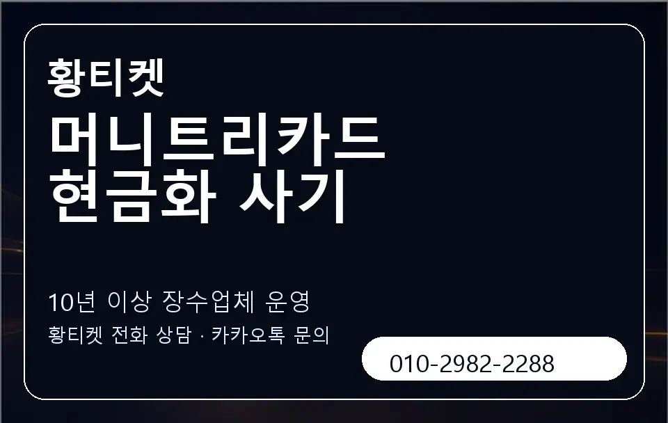 머니트리카드 현금화 사기 황티켓 캐러셀 5