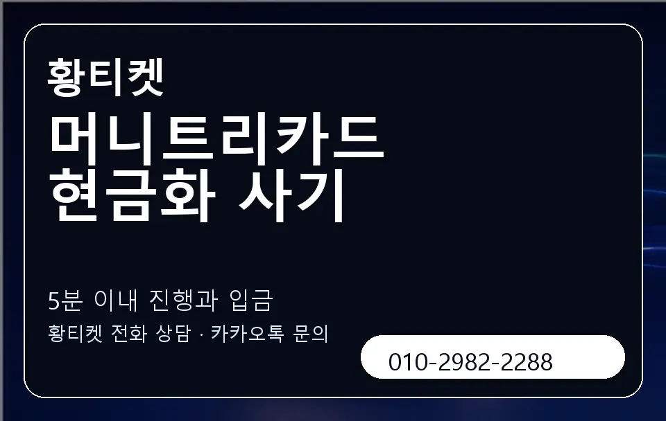 머니트리카드 현금화 사기 황티켓 캐러셀 6