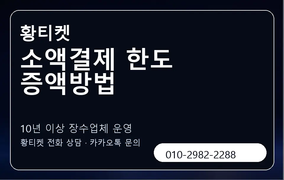 소액결제 한도 증액방법 황티켓 캐러셀 5