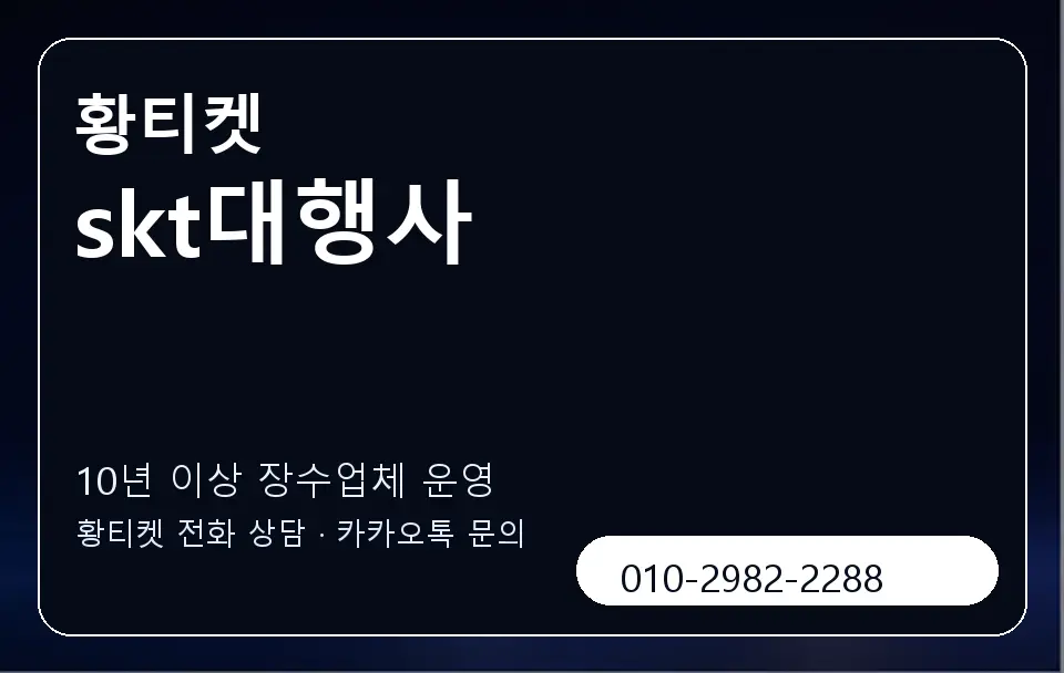 skt대행사 황티켓 캐러셀 5