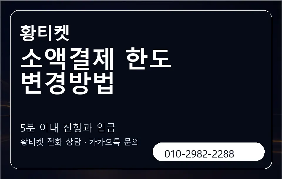소액결제 한도 변경방법 황티켓 캐러셀 6