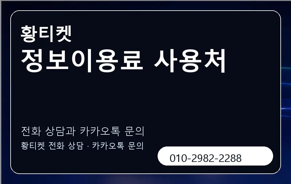정보이용료 사용처 황티켓 캐러셀 1