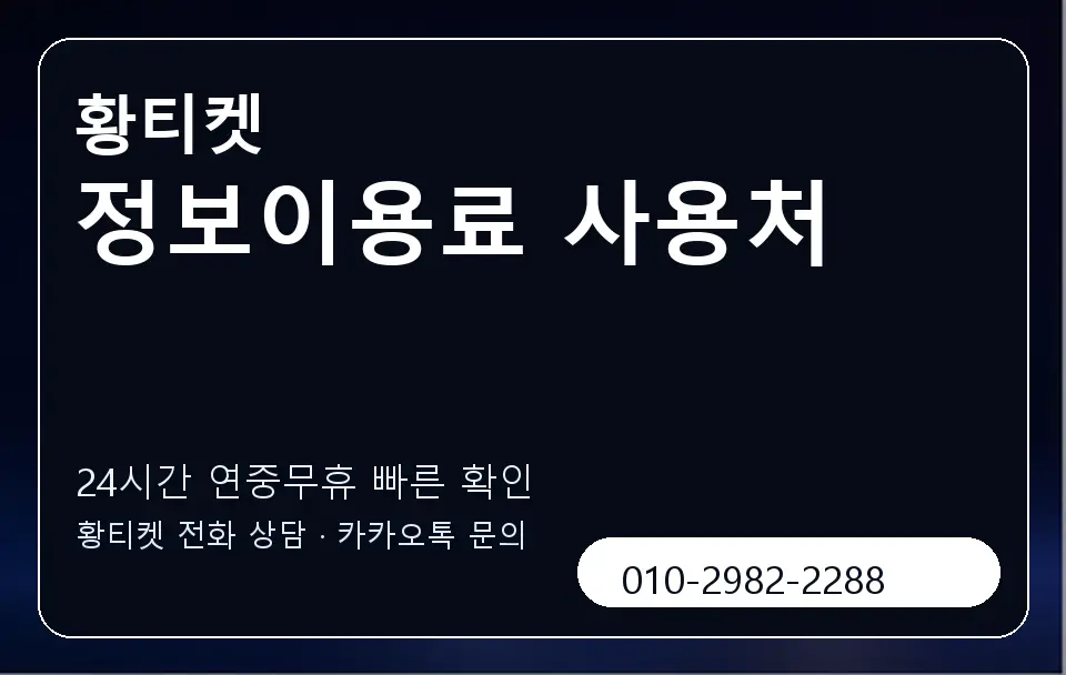 정보이용료 사용처 황티켓 캐러셀 2