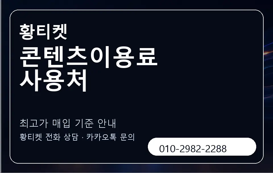 콘텐츠이용료 사용처 황티켓 캐러셀 3
