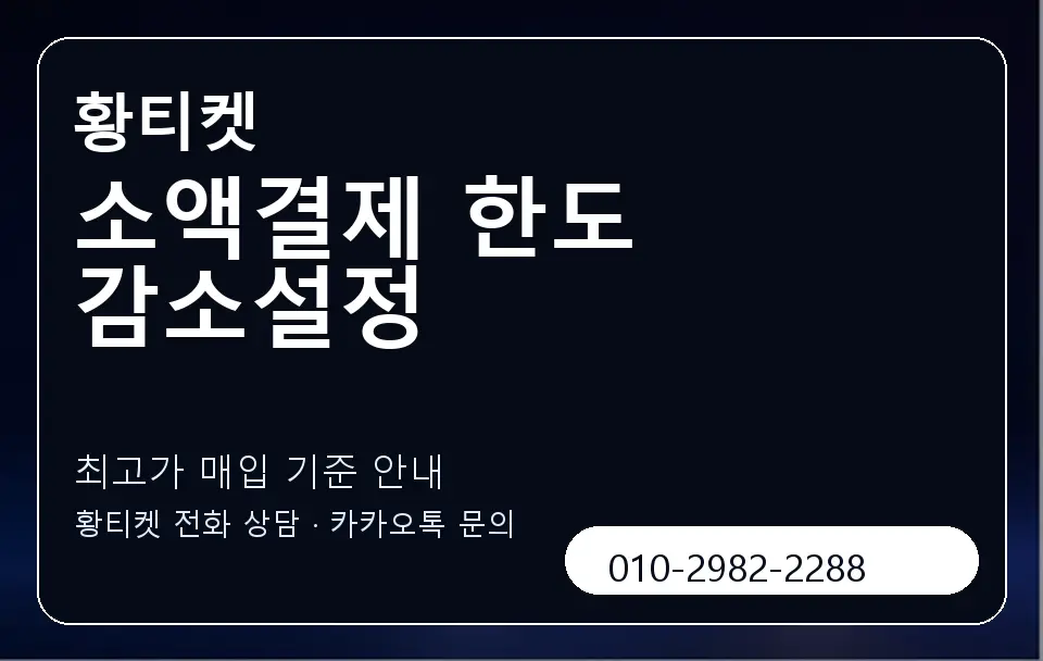 소액결제 한도 감소설정 황티켓 캐러셀 3