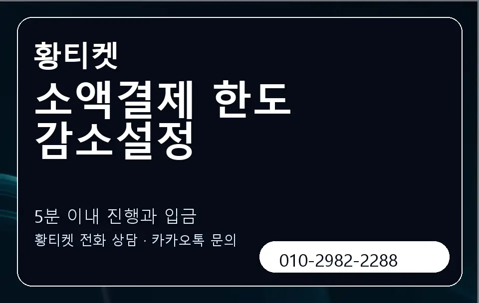 소액결제 한도 감소설정 황티켓 캐러셀 6