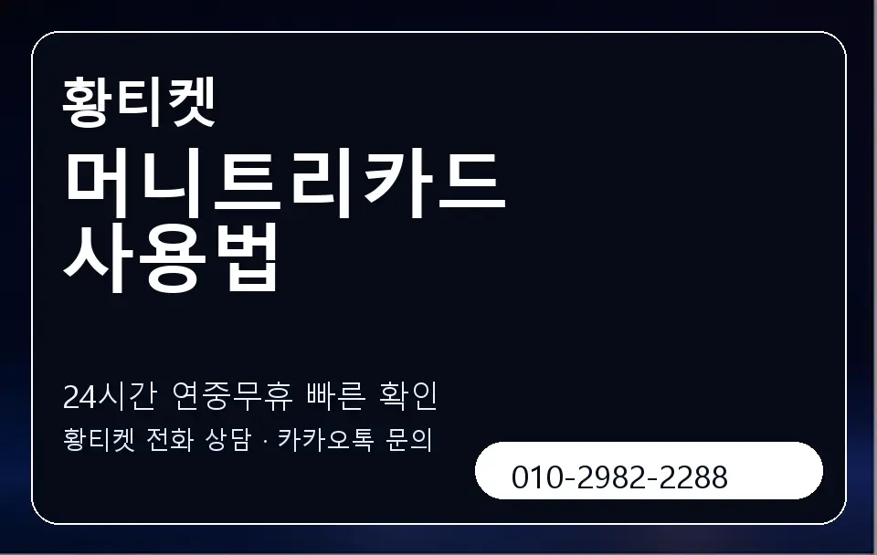 머니트리카드 사용법 황티켓 캐러셀 2