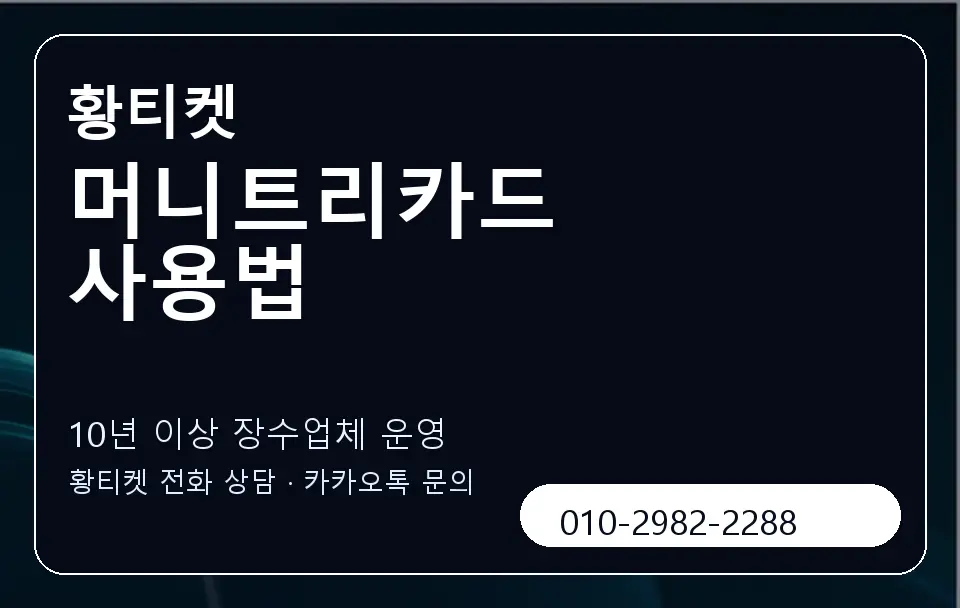 머니트리카드 사용법 황티켓 캐러셀 5