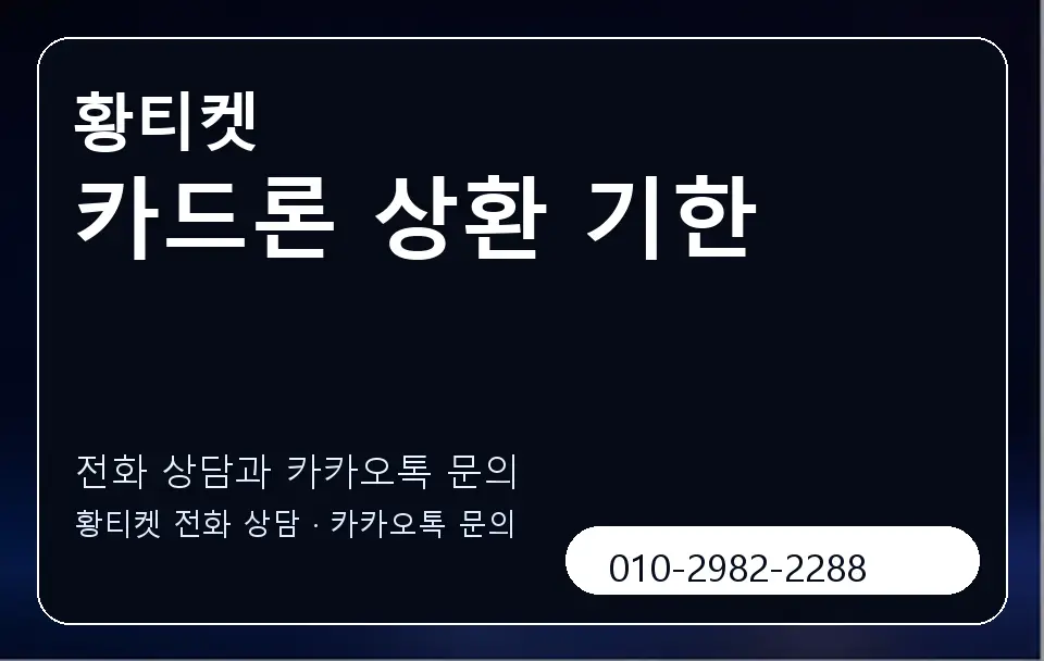 카드론 상환 기한 황티켓 캐러셀 1