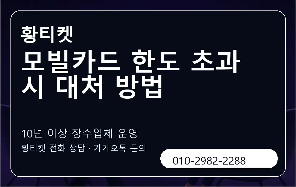 모빌카드 한도 초과 시 대처 방법 황티켓 캐러셀 5