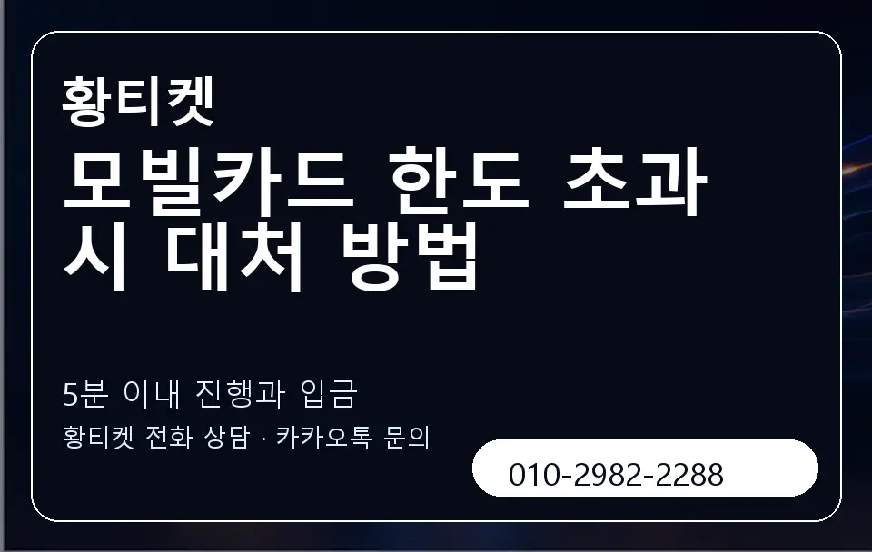 모빌카드 한도 초과 시 대처 방법 황티켓 캐러셀 6