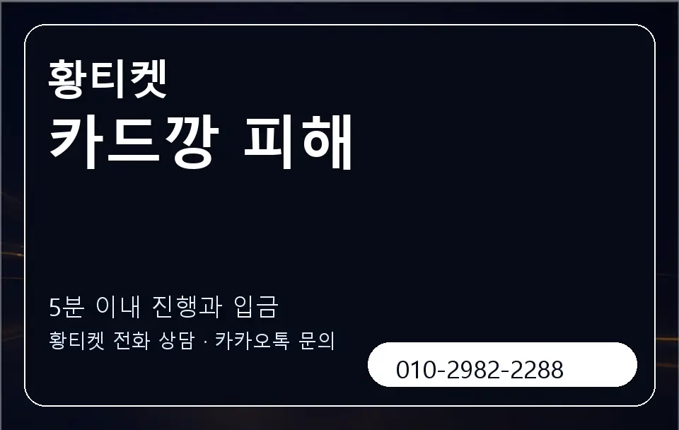 카드깡 피해 황티켓 캐러셀 6