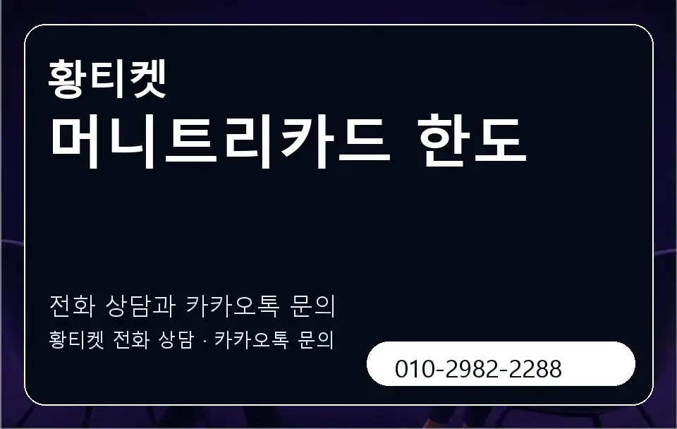 머니트리카드 한도 황티켓 캐러셀 1